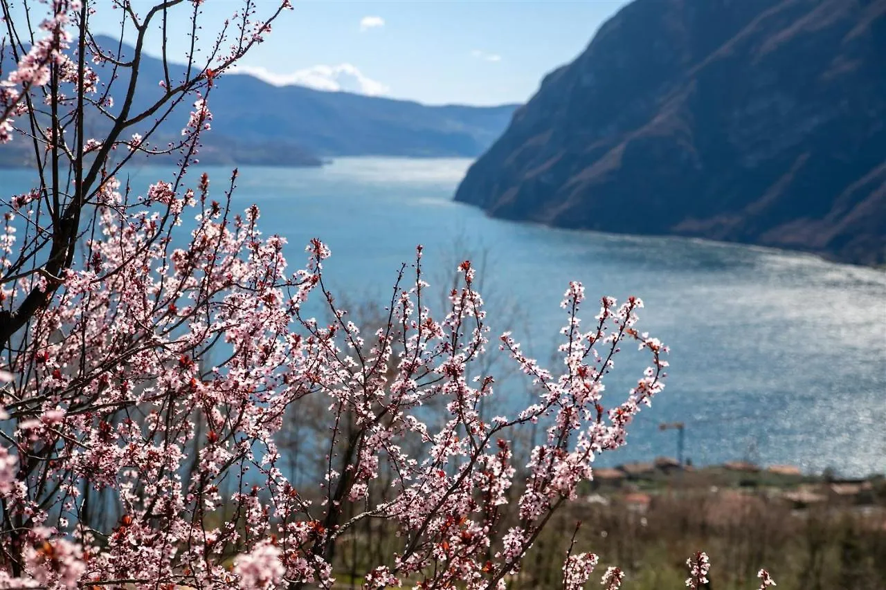 Apartment Iseolakerental - Casa Amata Riva di Solto Italy